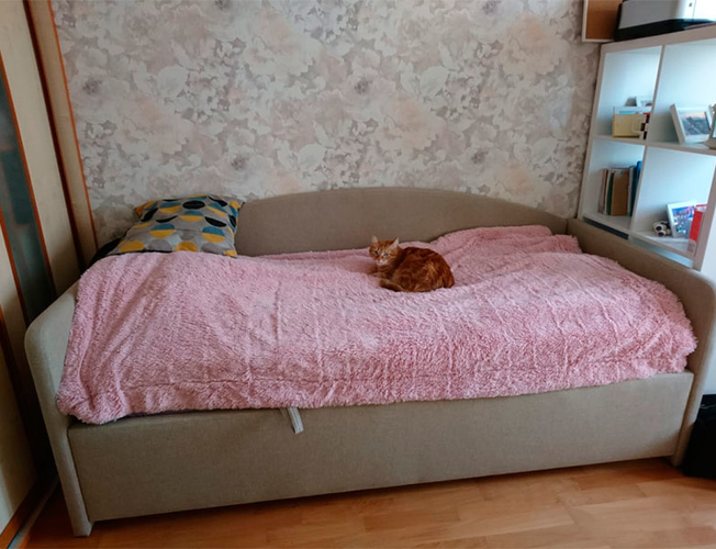 Кровать-диван Бенарти Uta